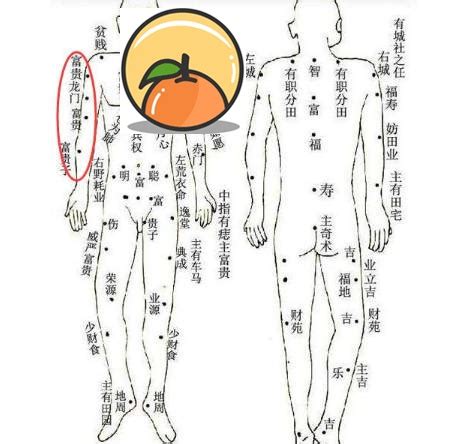 小手臂有痣|從手上的痣看你的好運在哪？上手臂有痣善於察言觀色。